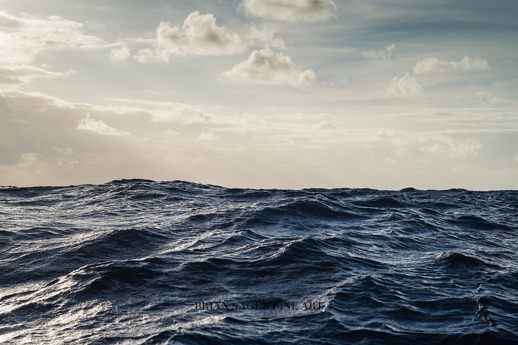 Tropical Storm Acrylic Block