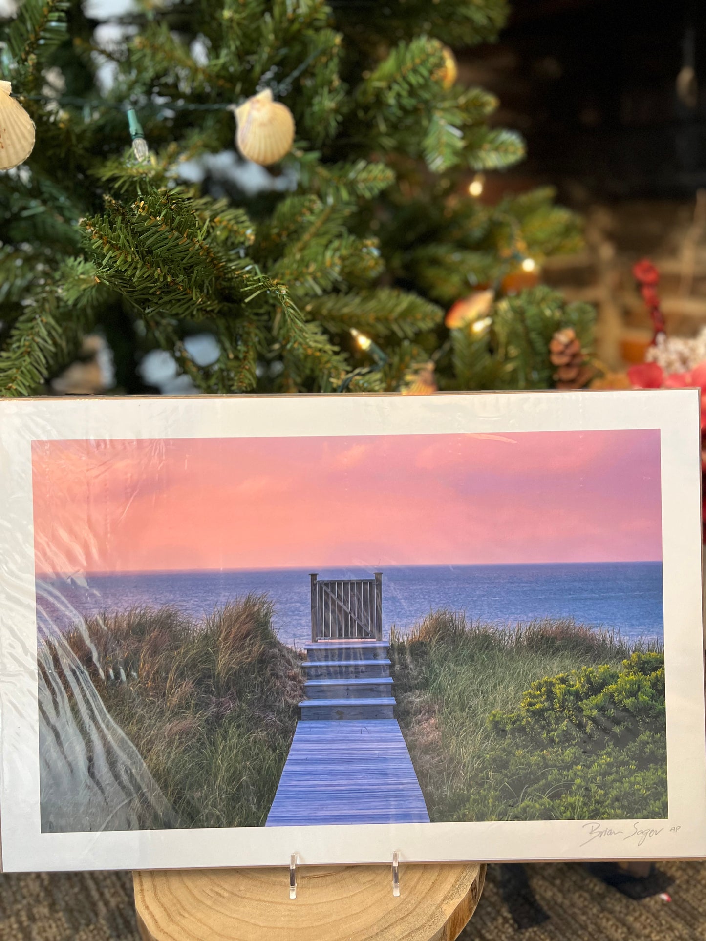 12x18 Artist Proof: Steps Gate, No. 1013
