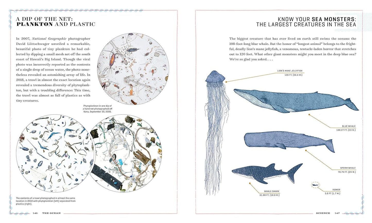 Ocean: The Ultimate Handbook of Nautical Knowledge