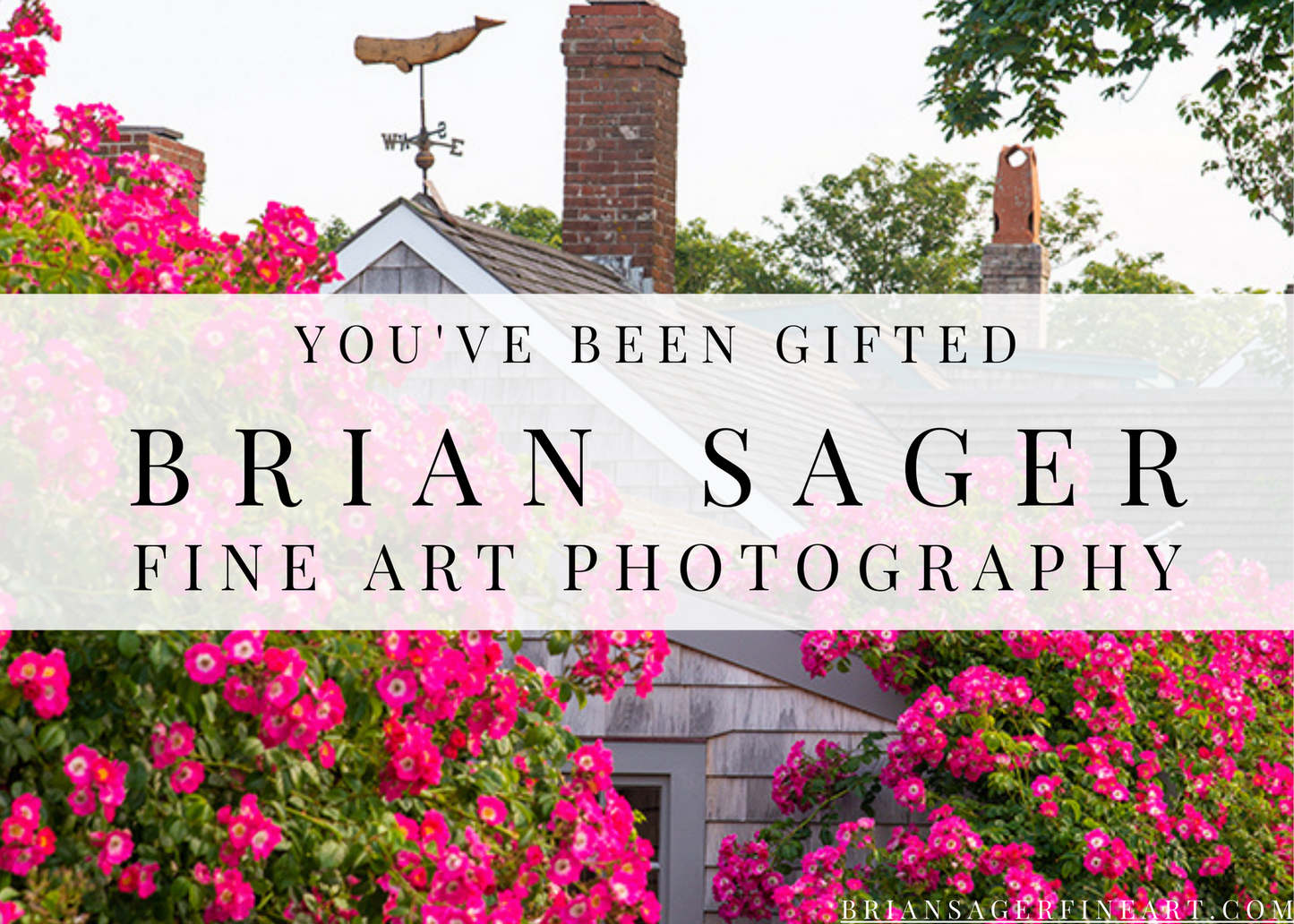 Custom E-Gift Card: Any Print