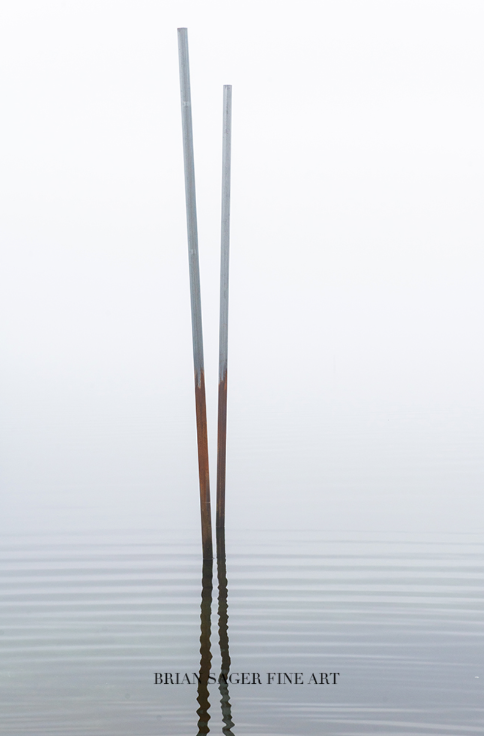 36x24" Print on Metal: Piling Refractions, Nantucket Harbor (Gallery Display)