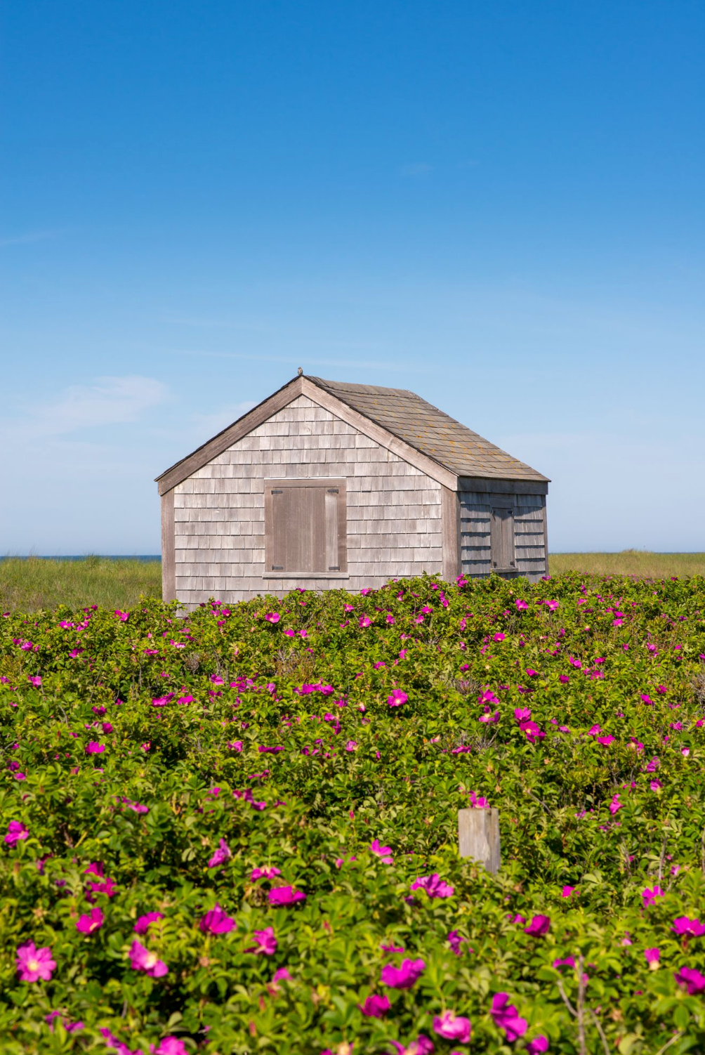 36x24" Print on Metal: Miacomet Shack (Gallery Display)