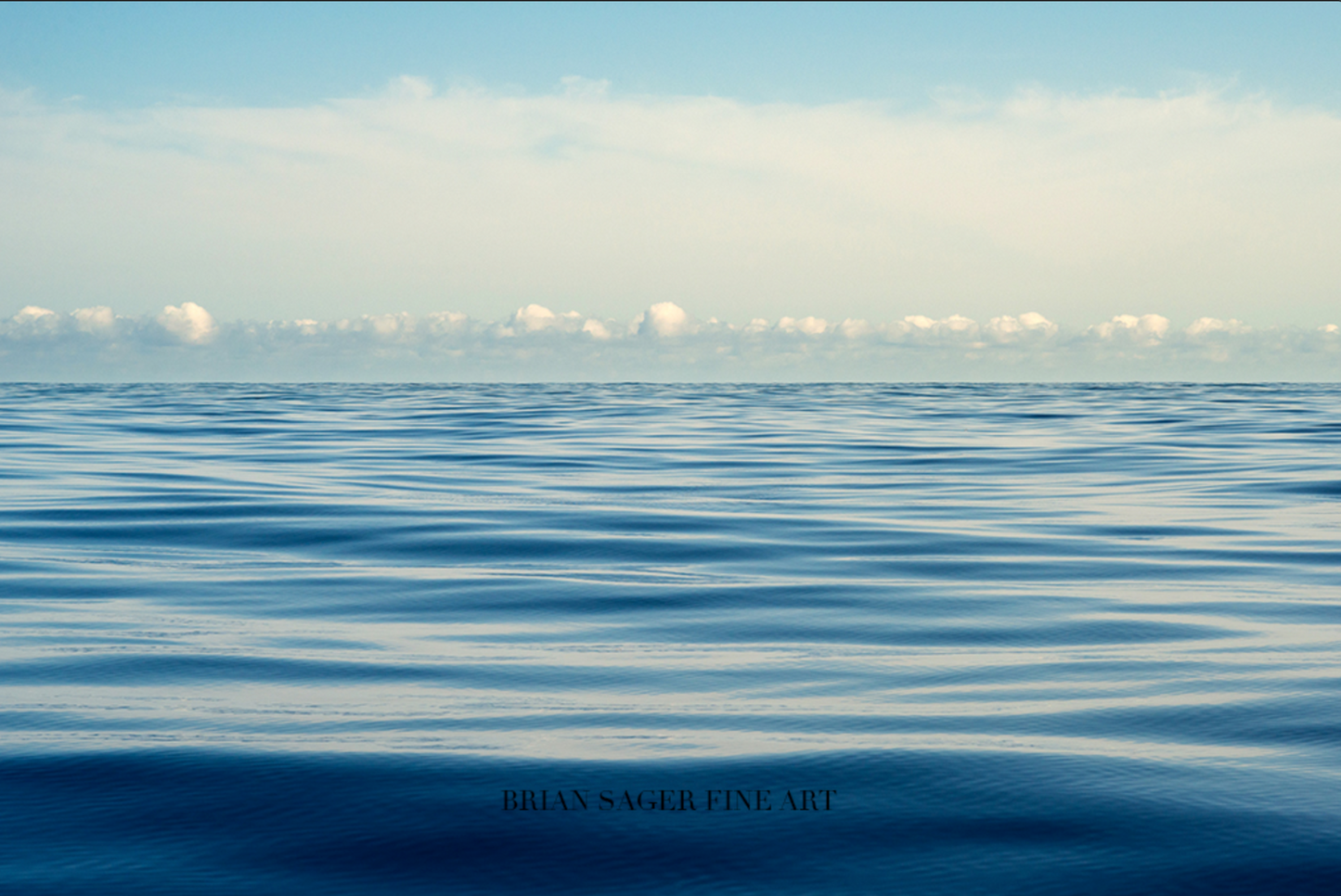 40x60" HD Metal Print: Flying Fish (Gallery Display)