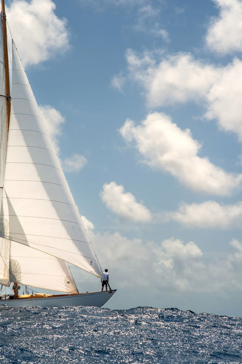 36x24" Print on Metal: Blue Peter Bowman (Gallery Display)