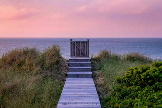 16x24" Print on Metal: Steps Gate (Gallery Display)