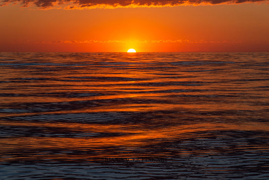 Red Sunrise at The Race, No. 0271