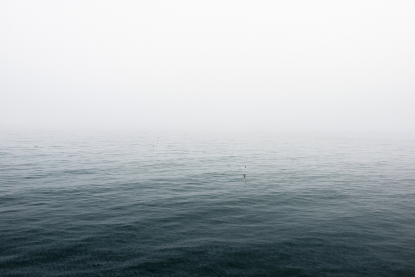 Take Flight, No. 2335