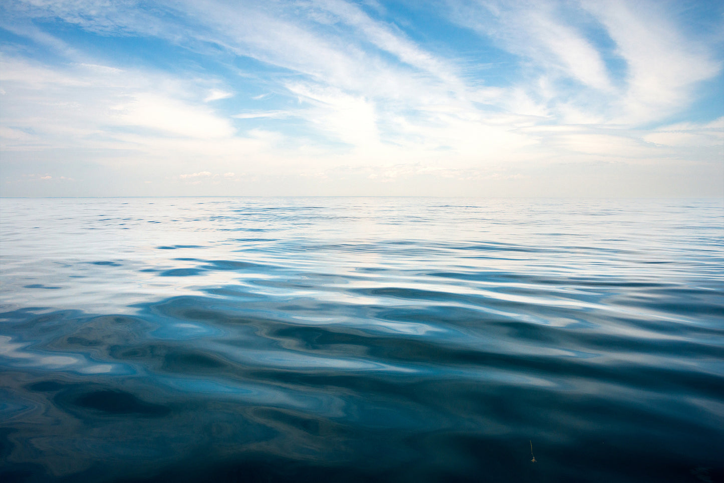 Whale Disturbance, No. 8399