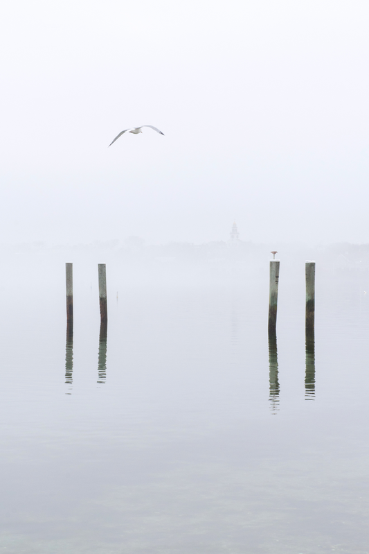 Winter Fog, No. 1229