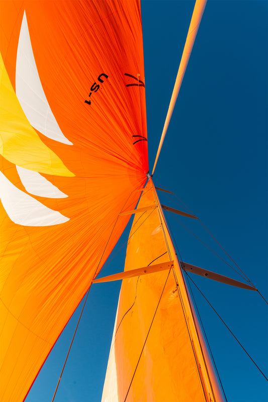 Outlier Spinnaker I, No. 3139