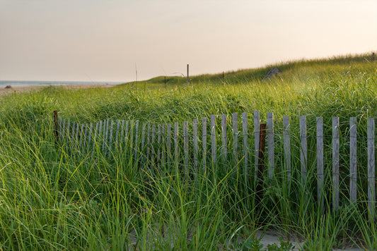 Surfside Dunes, No. 3500