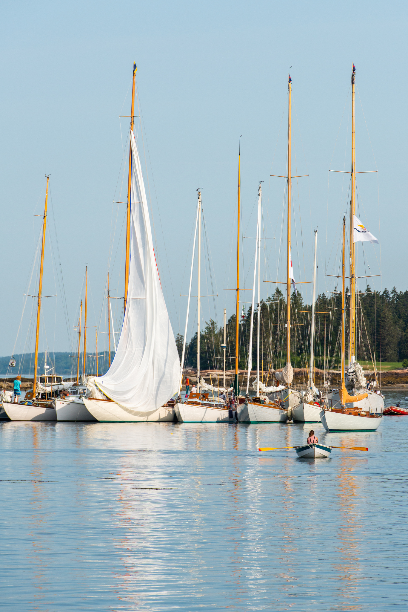 Eggemoggin Morning, No. 5224