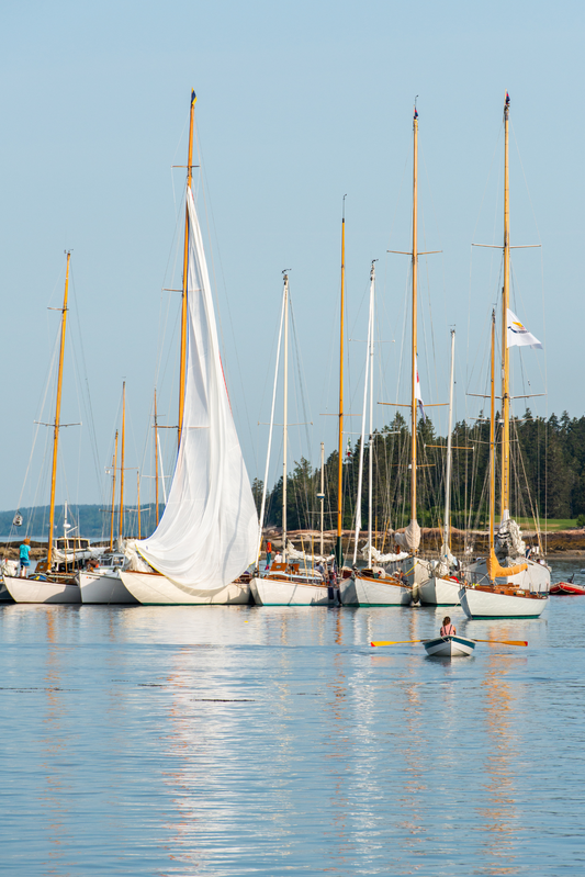 Eggemoggin Morning, No. 5224