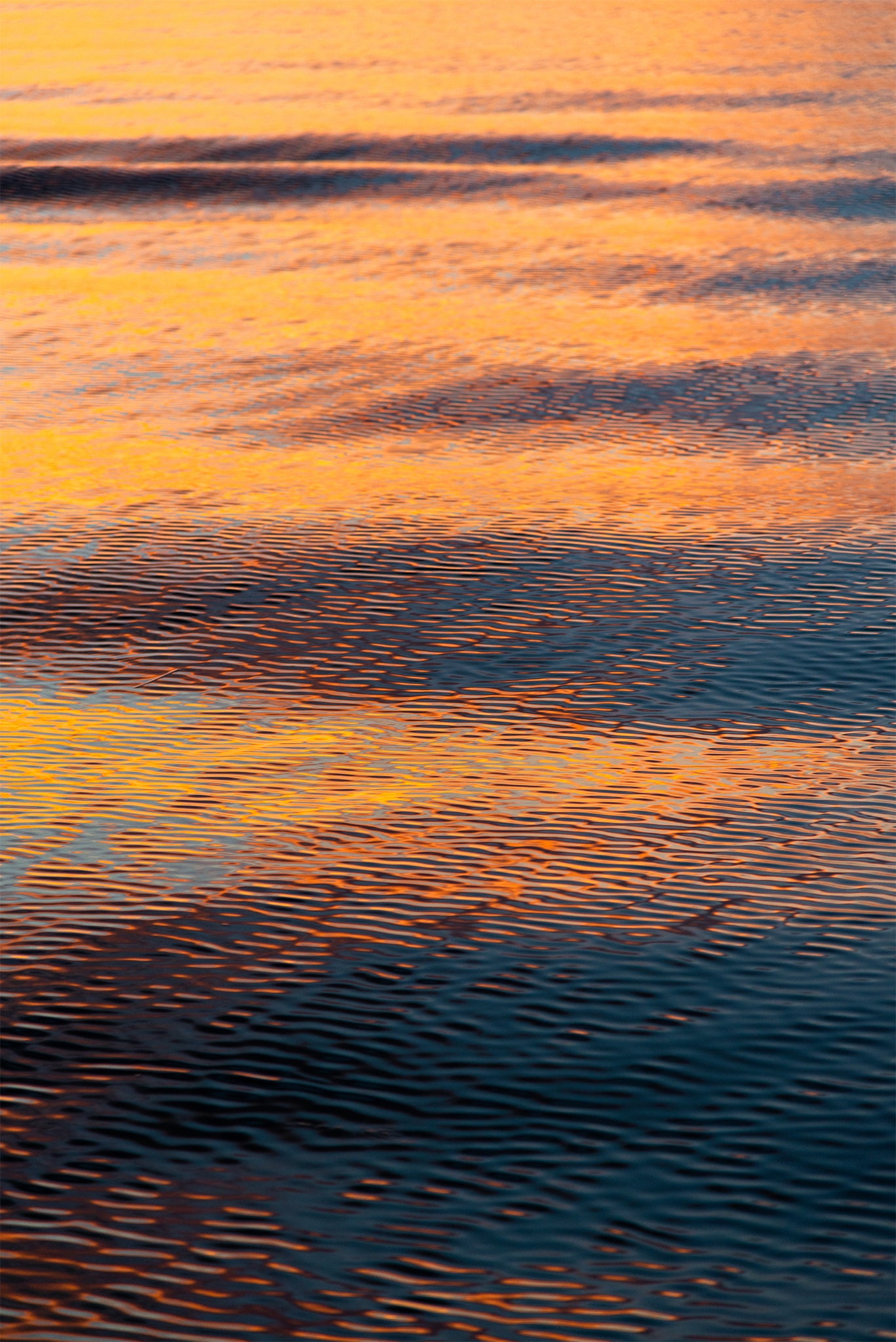 Sandy Hook Abstract, No. 0809