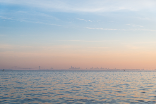 Manhattan Skyline at Dawn, No. 0894