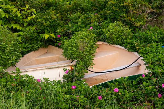 Overgrown Rowboats, No. 1435