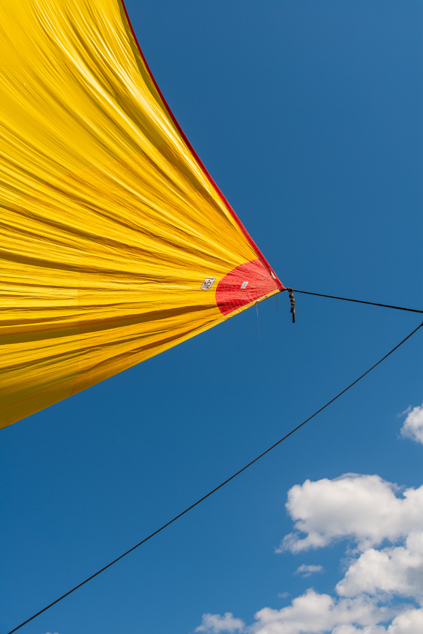 Outlier A4 Clew, No. 6232