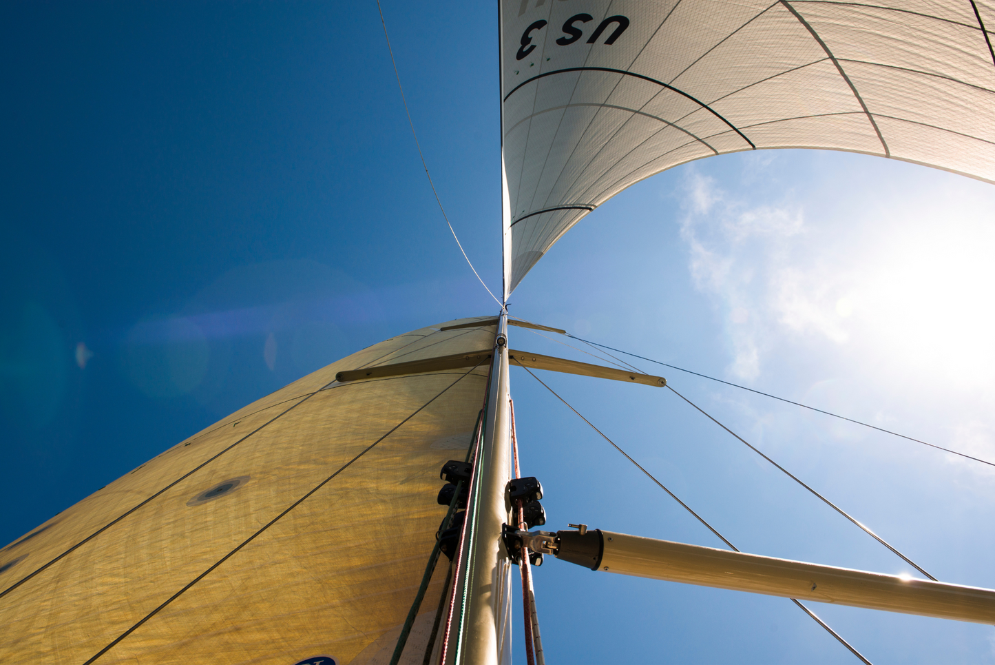 Wing on Wing, No. 1137