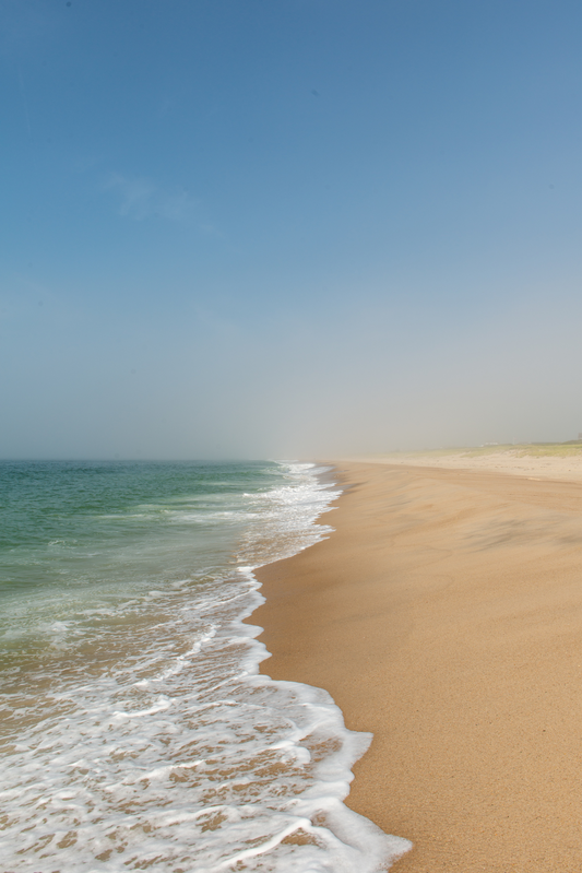 Surfside Sunny Fog IV, No. 8974