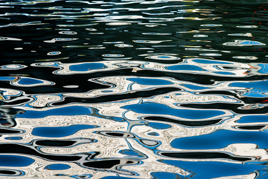 Woods Hole Abstract, No. 0038