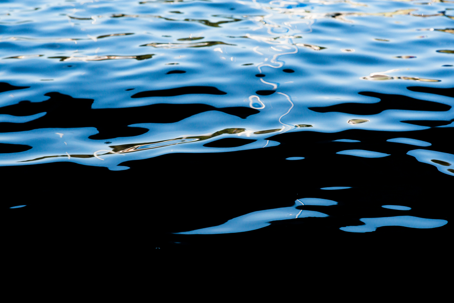 Woods Hole Abstract II, No. 0046