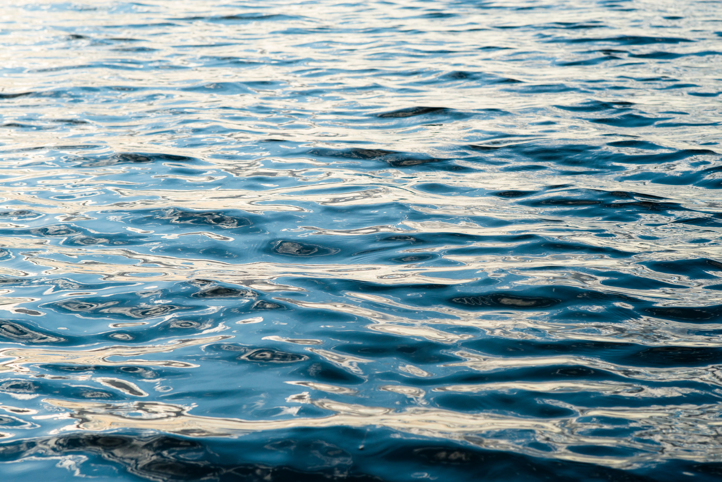 Cuttyhunk Abstract II, No. 9877