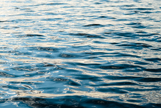 Cuttyhunk Abstract II, No. 9877