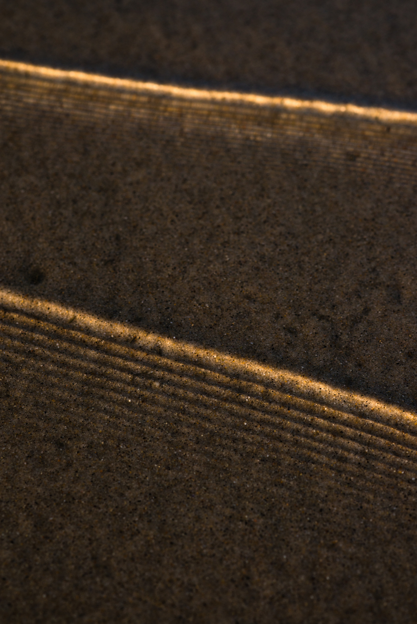 Smith's Point Reflections III, No. 4043