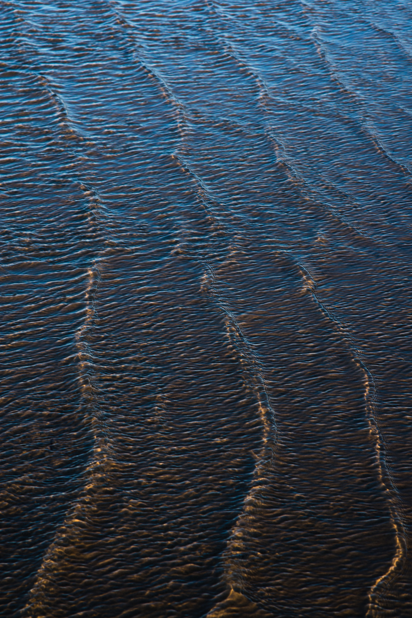 Smith's Point Reflections IV, No. 4043