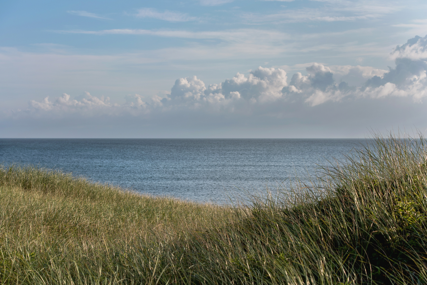 Dionis Dunes, No. 8583