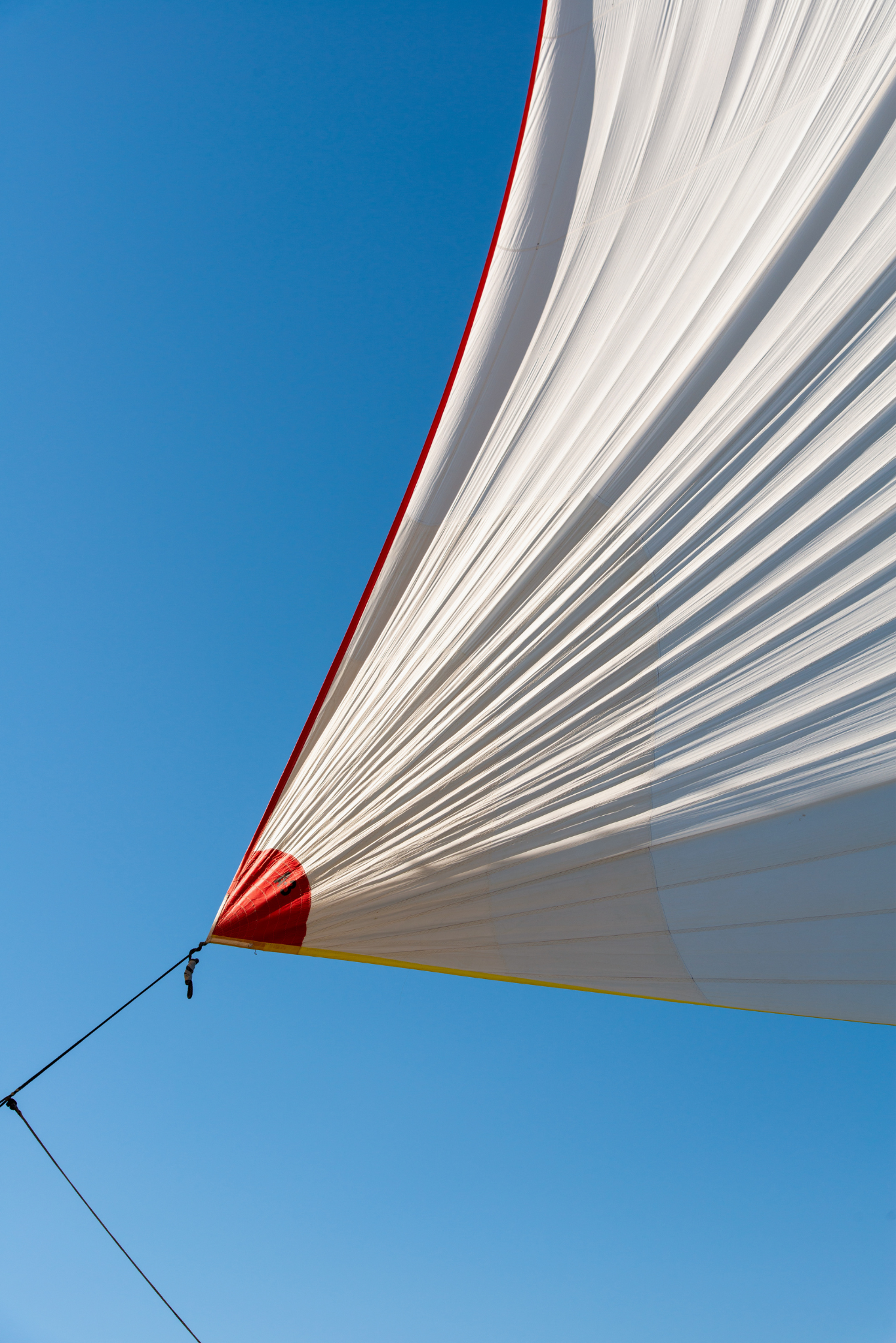 Outlier A3 Clew, No. 6458