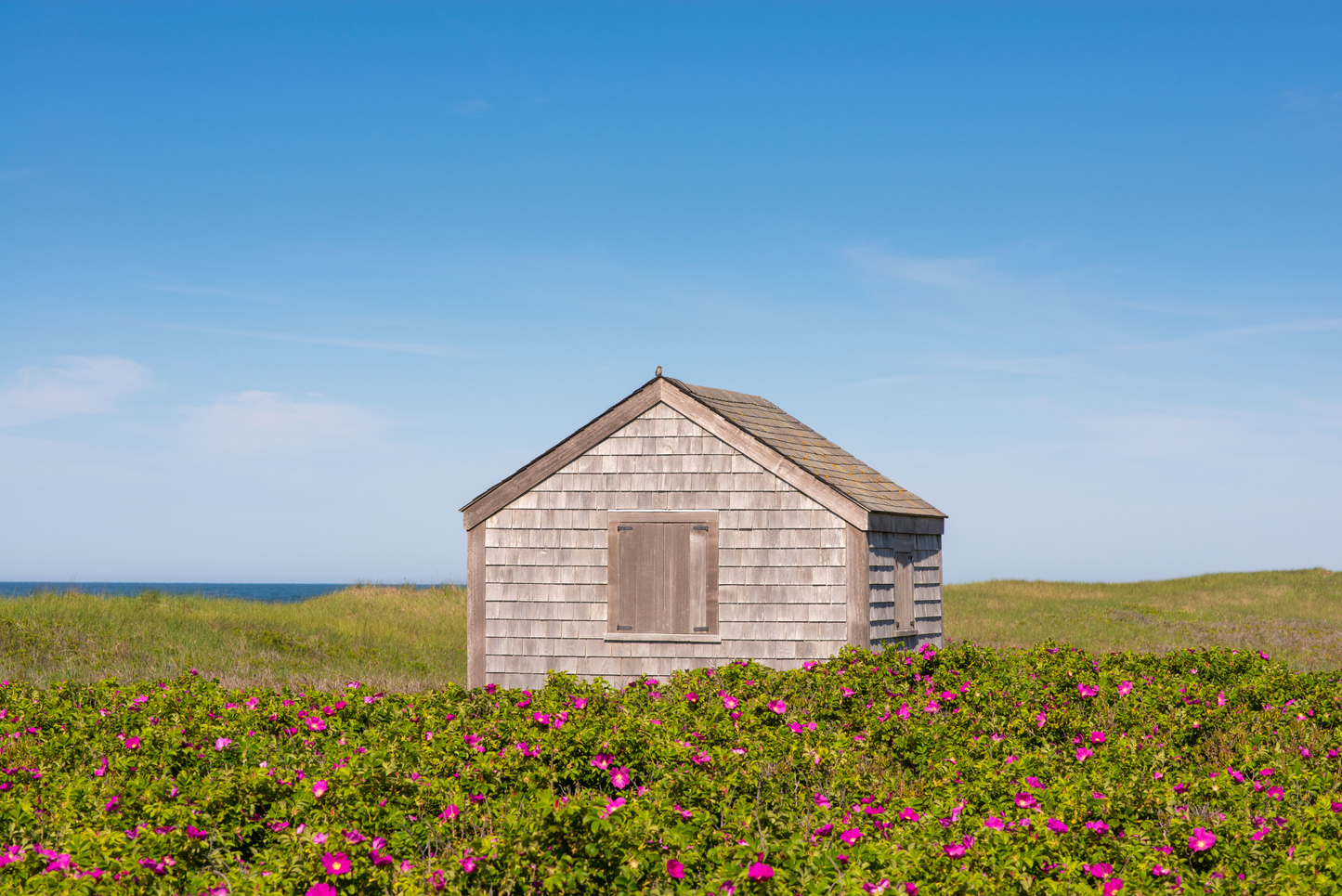 Miacomet Shack, No. 2725