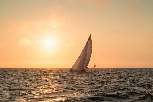 Sonny Sunset, No. 8379