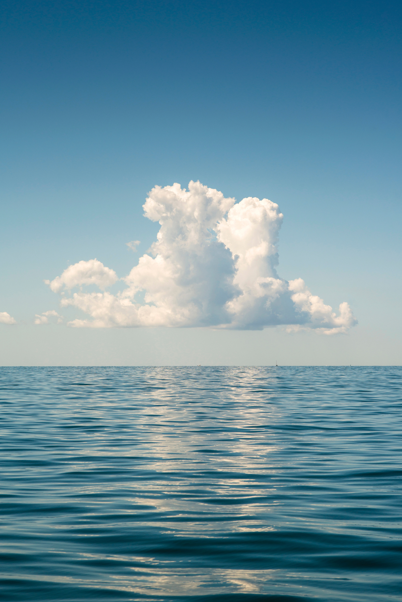 Nantucket Sound Cloud, No. 7279