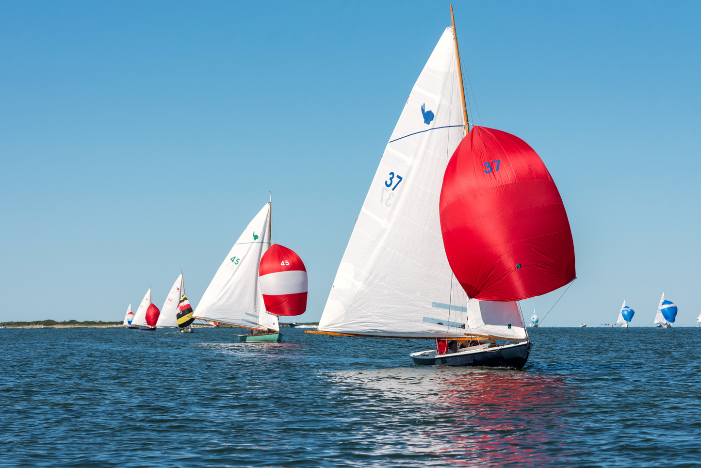 Indian Spinnaker Run, No. 8216