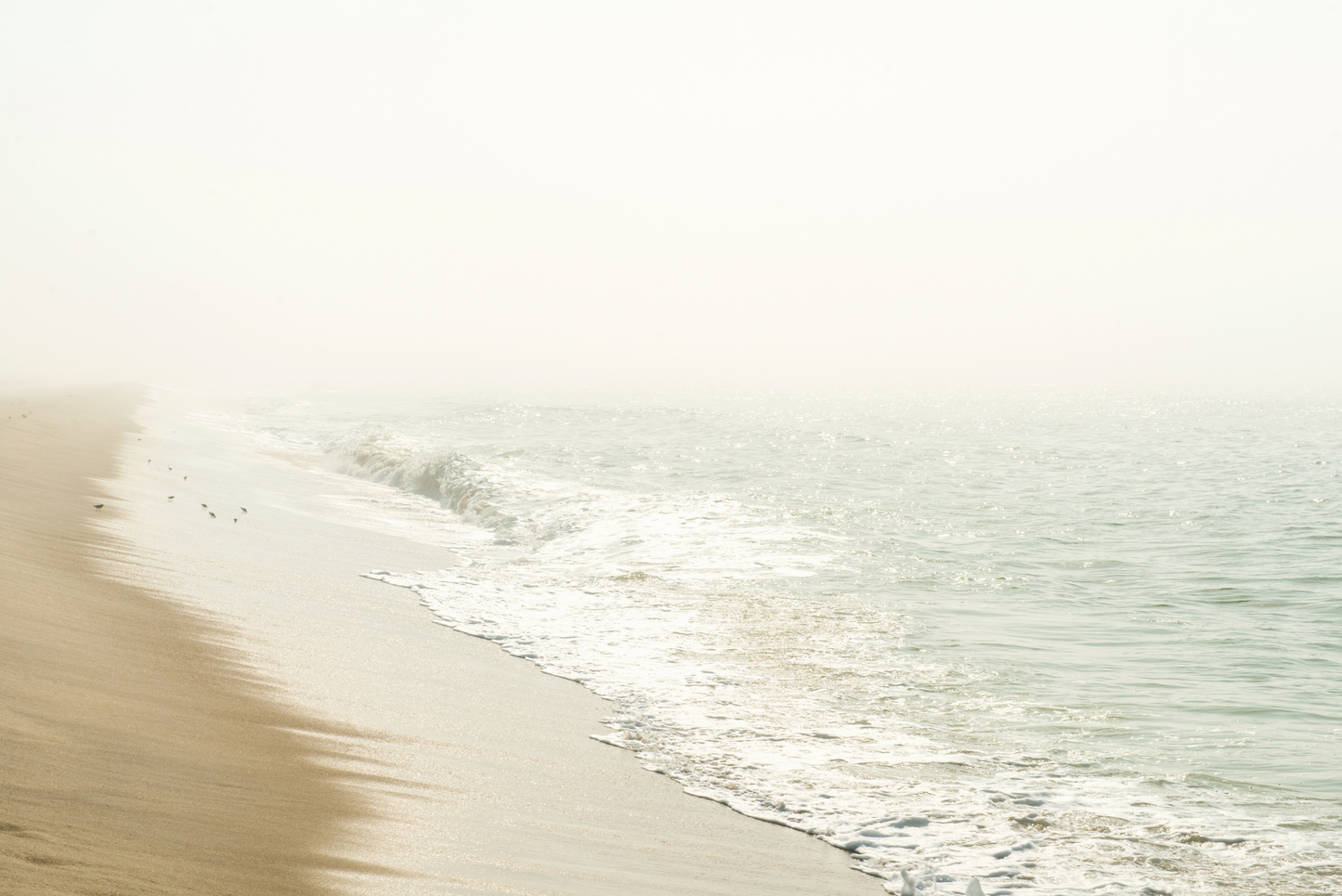 Surfside Sunny Fog II, No. 8920