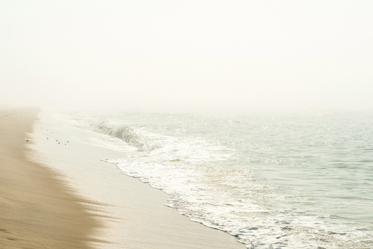 Surfside Sunny Fog II, No. 8920