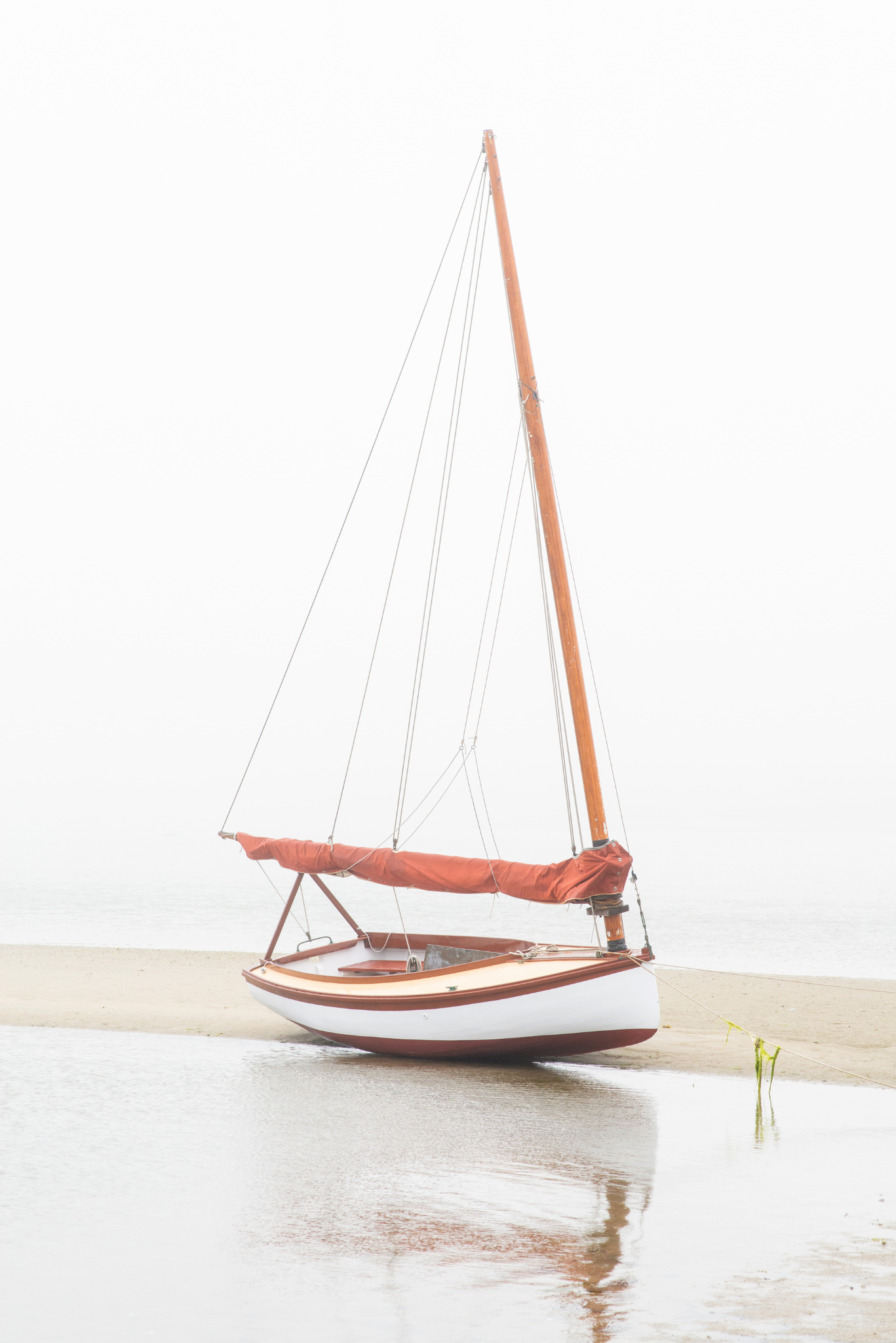 Low Tide in the Fog II, No. 7719