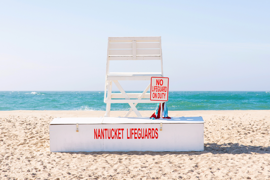 No Lifeguard on Duty III, No. 7785