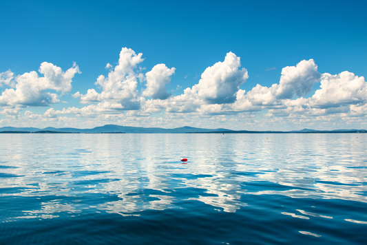 Camden Oceanscape II, No. 6086