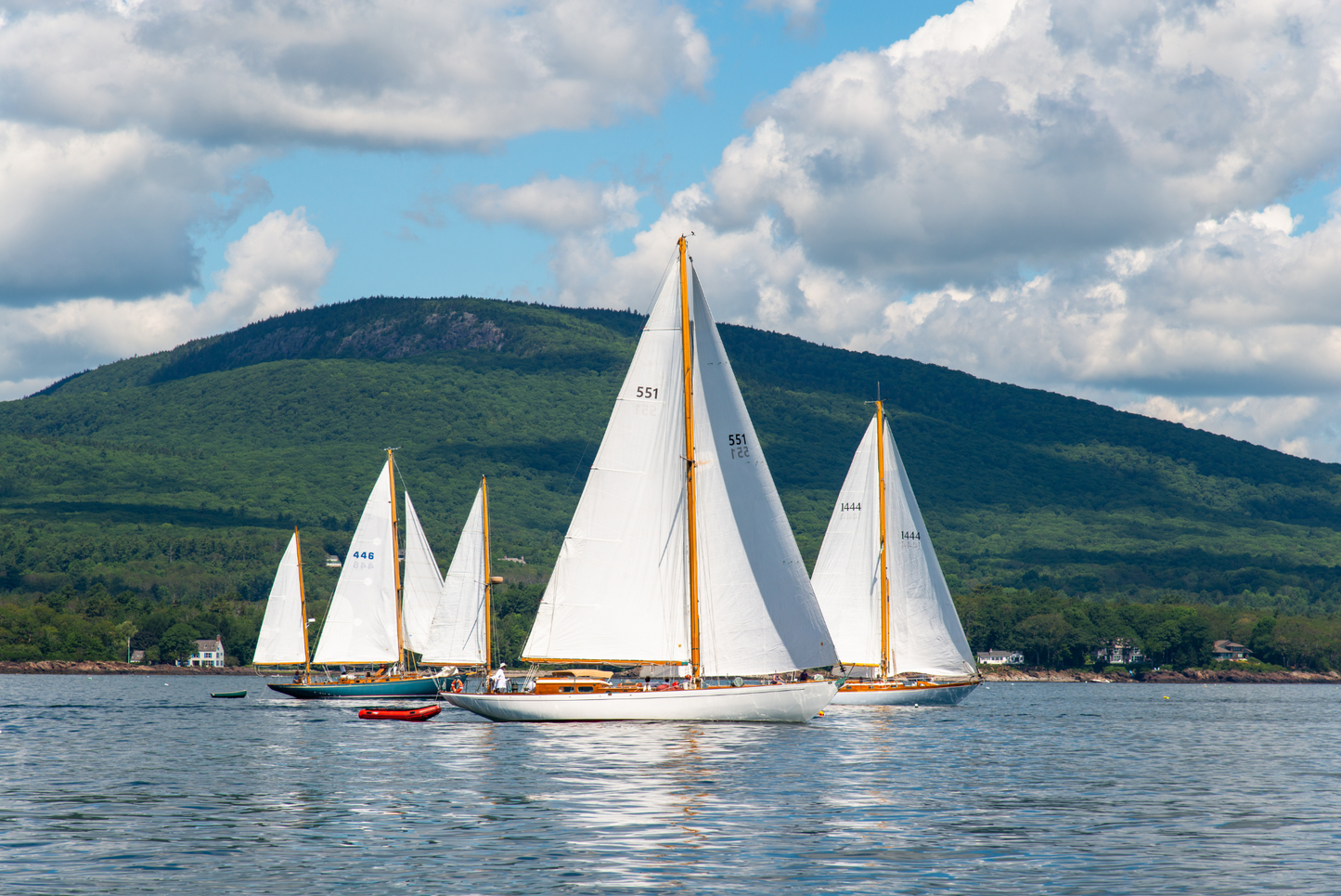 Camden Classics, No. 5602