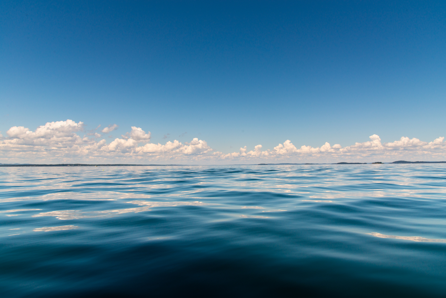 Camden Oceanscape I, No. 6086