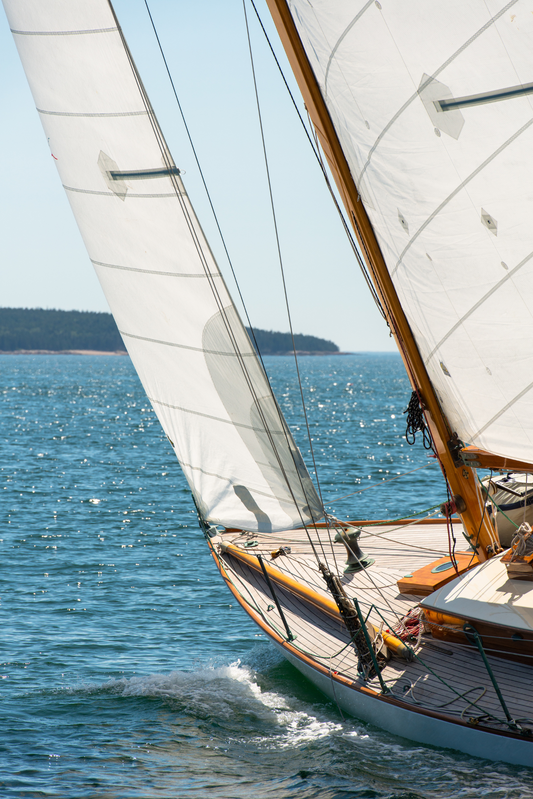 Wizard of Eggemoggin, No. 7117