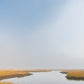 Pre-Order: Limited Edition: Sunny Fog in the Creeks, No. 0381