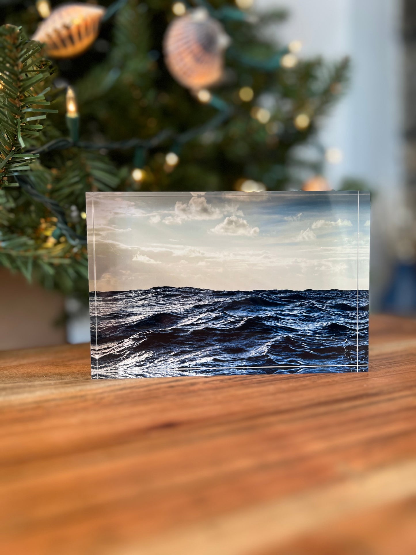 Tropical Storm Acrylic Block