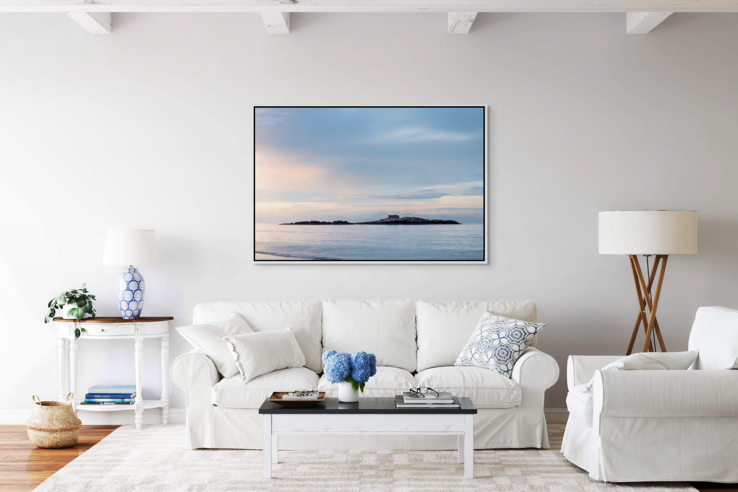 Doctor's Island: Framed Limited Edition 20x30" Satin Metal Print