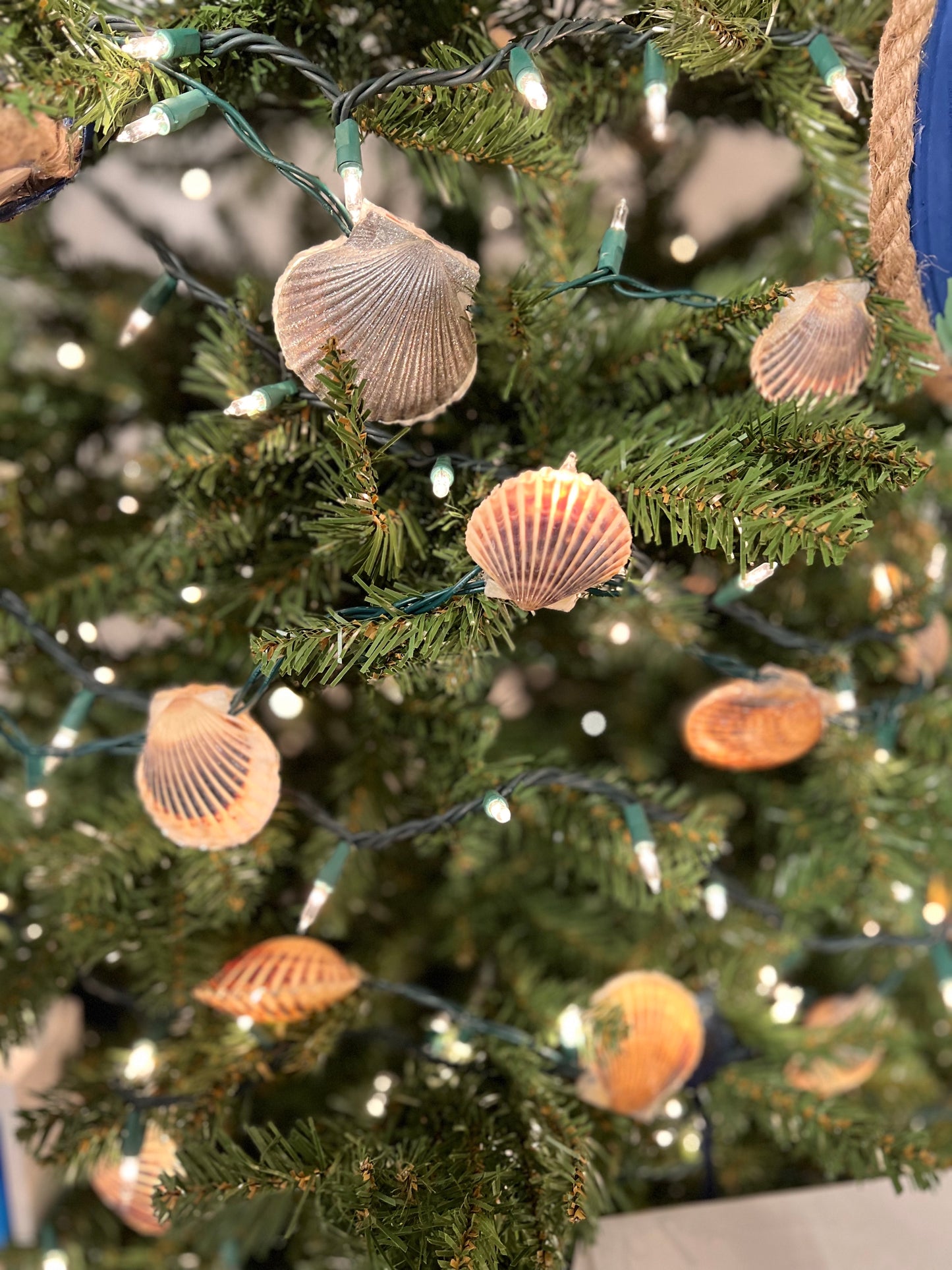 Handmade Nantucket Scallop Shell Lights