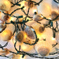 Handmade Nantucket Scallop Shell Lights