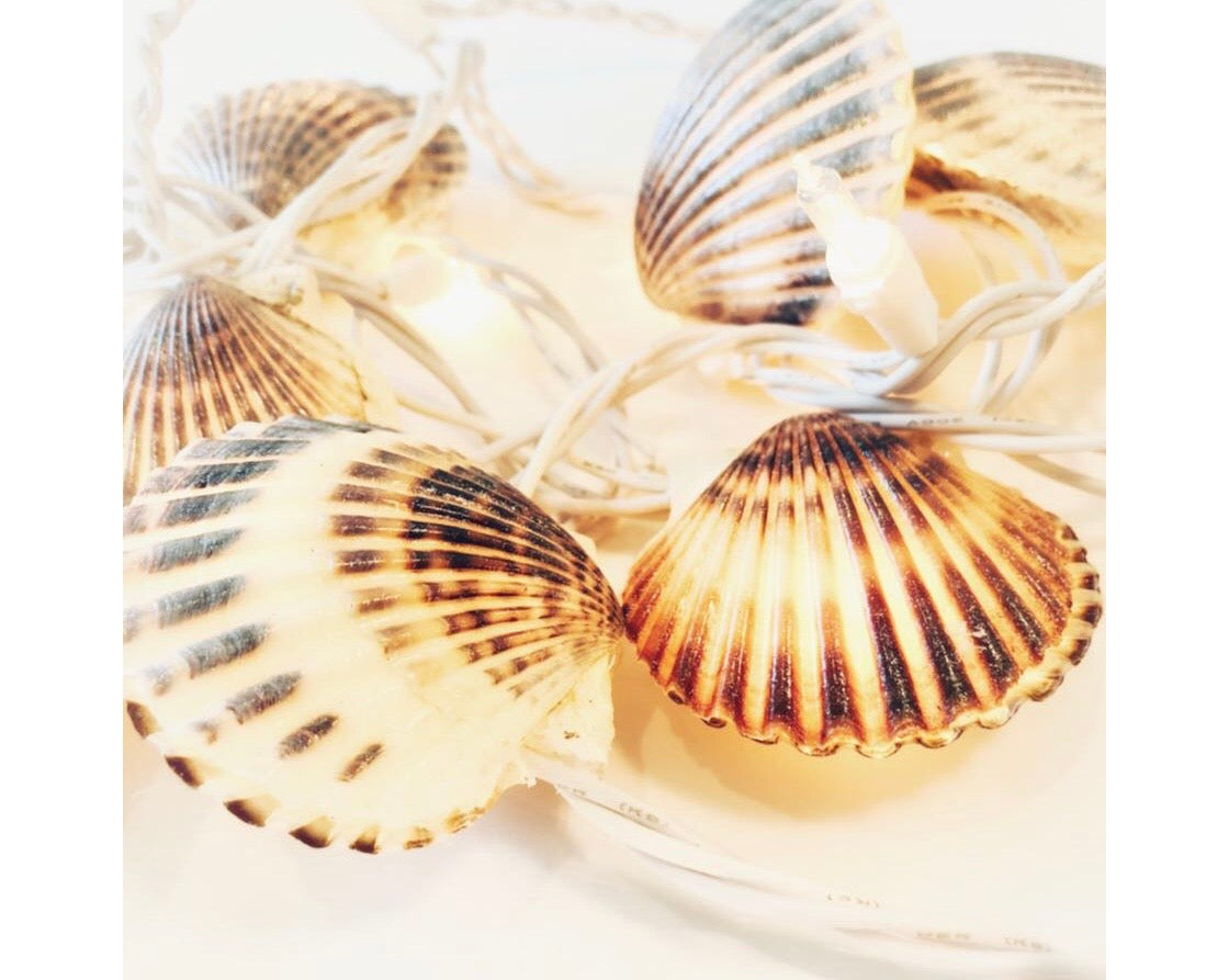 Handmade Nantucket Scallop Shell Lights