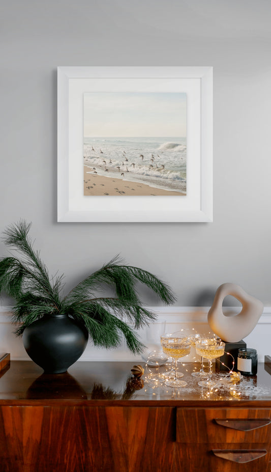 Birds of a Feather: Framed Print